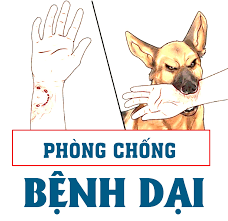 Tăng cường các biện pháp phòng chống bệnh Dại trên địa bàn tỉnh